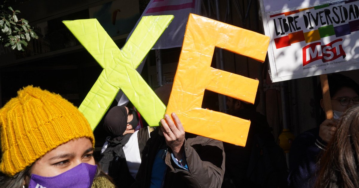 ¿Qué pasó con el lenguaje inclusivo? debate, prohibiciones y futuro en la educación y la política