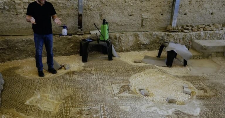 Encontraron en Sevilla un lujoso mosaico romano de 27 metros, con figuras de las cuatro estaciones