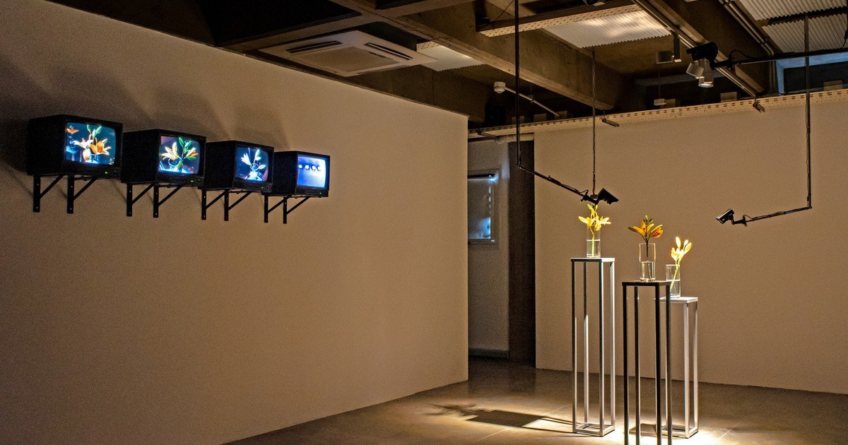 Desafíos V: un territorio en el que confluyen arte, ciencia y tecnología