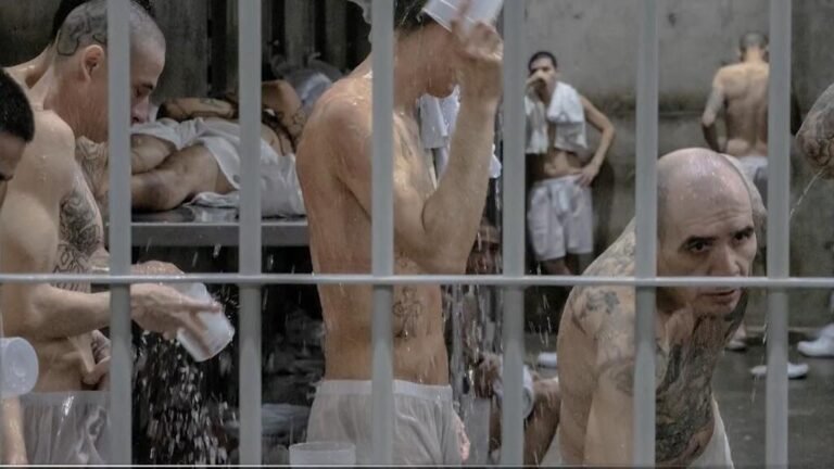 “Visa pour l’image”, un portafolio fotográfico de la actualidad mundial