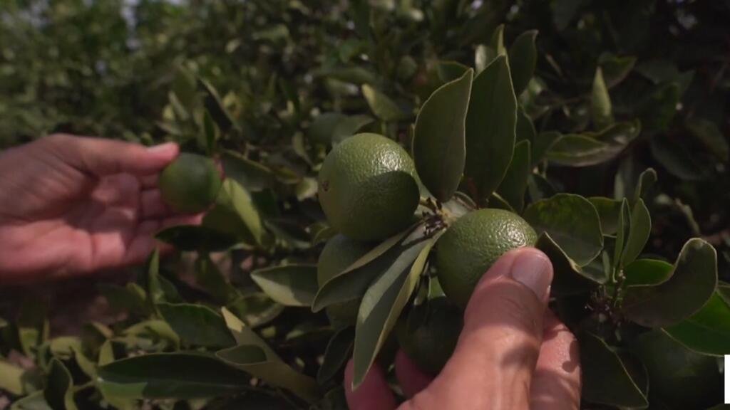 España: líder europeo en el reciclaje de aguas residuales