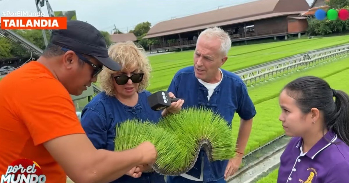 Rating en crisis: subió de un domingo a otro, pero lo más visto llegó sólo a los 9 puntos
