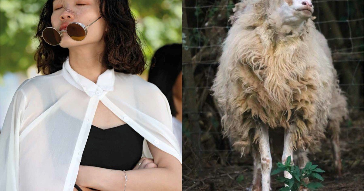 No somos tan distintos: las sorprendentes duplas visuales de Avistaje, de Clara de Estrada