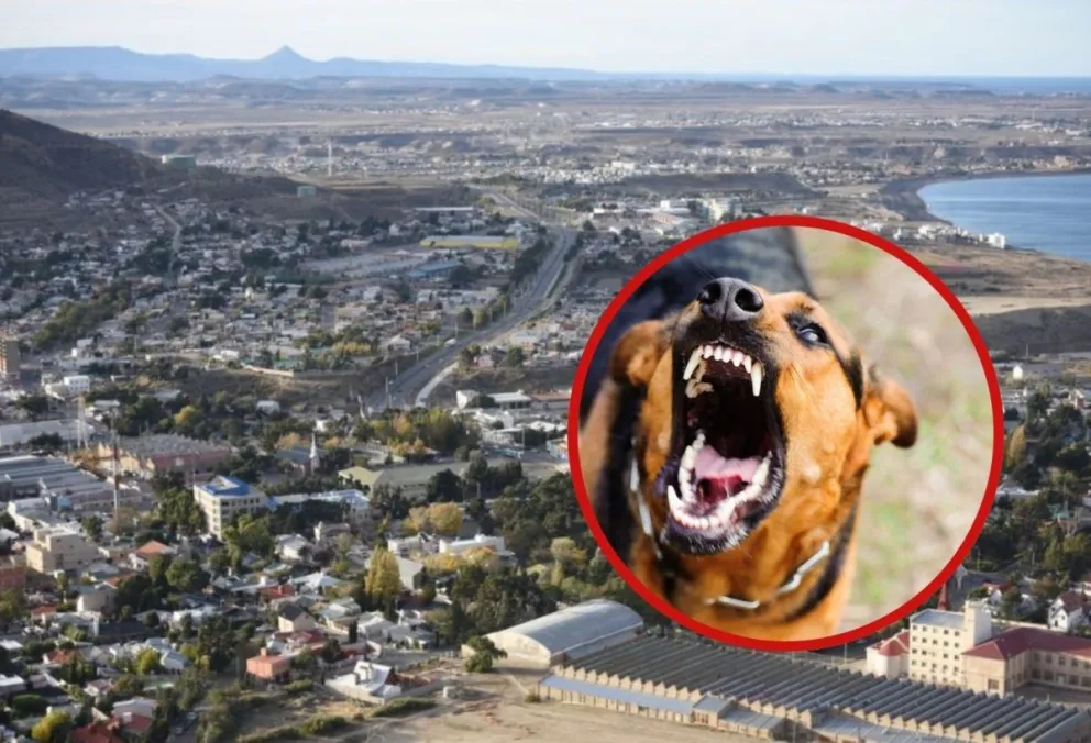 Un perro mordió a un hombre y su dueño terminó detenido