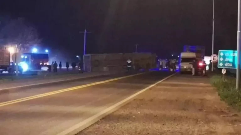 Volcó un camión con pollos y vecinos se llevaron la carga