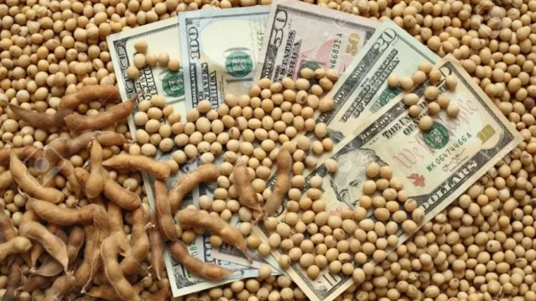 Retenciones 0%: el campo ya ingresó USD 4.200 millones en exportaciones