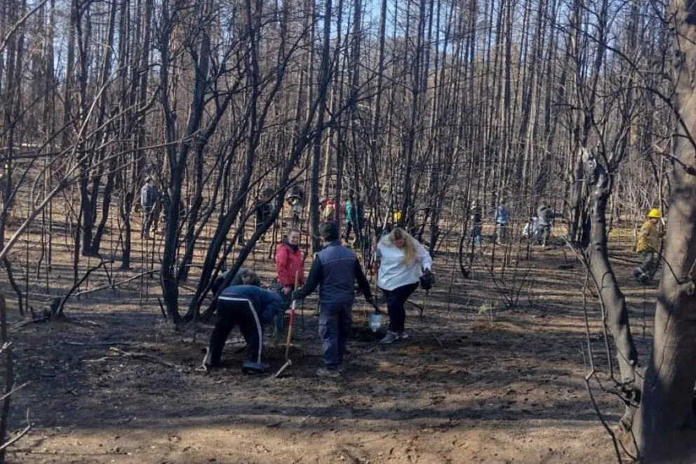 Provincia acompañó la restauración y homenaje en la Reserva Forestal El Guadal de El Bolsón