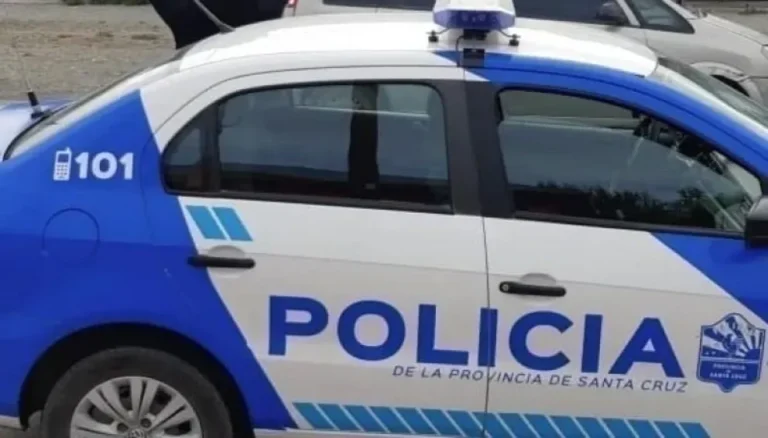 Dos hombres fueron detenidos tras intentar robar en un supermercado