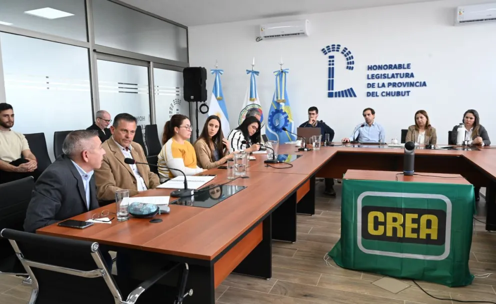 Legislatura: la Mesa de Articulación por el Cambio Climático abordó la Gestión Sostenible de Humedales junto al Grupo CREA de Esquel