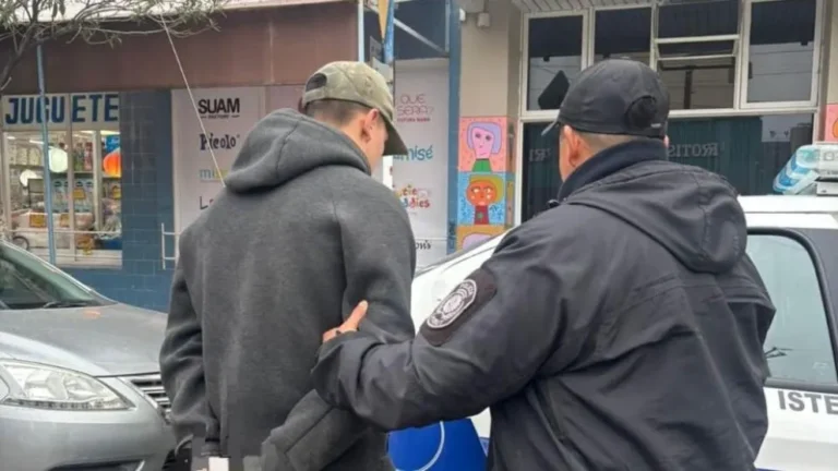 Cinco adolescentes fueron demorados por intento de robo en la Plaza Independencia