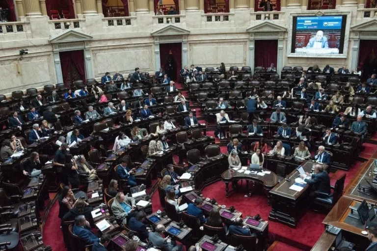 Diputados debatirá los vetos de Milei en una sesión especial