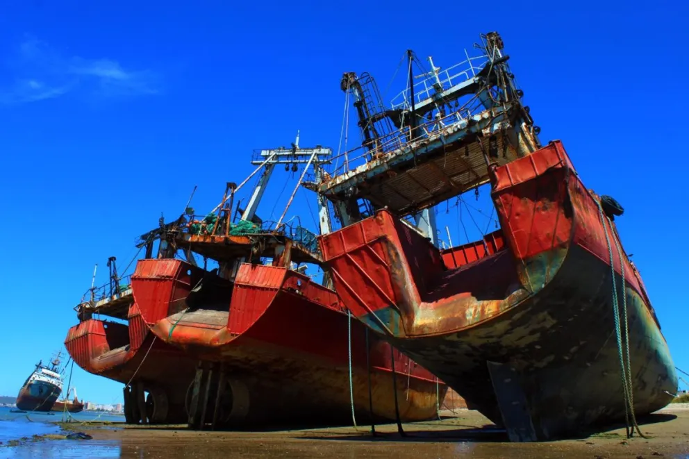 Profand se haría cargo de la ex Alpesca en reemplazo de Red Chamber