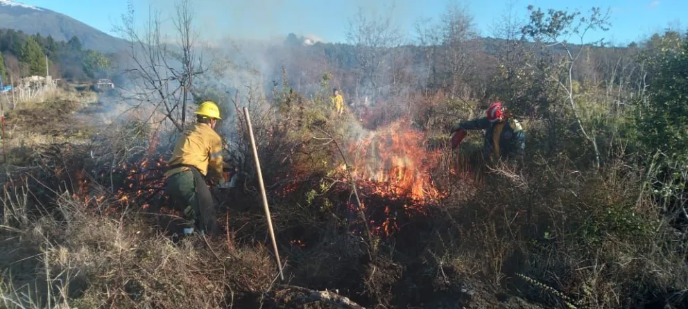 Trabajos preventivos en El Foyel