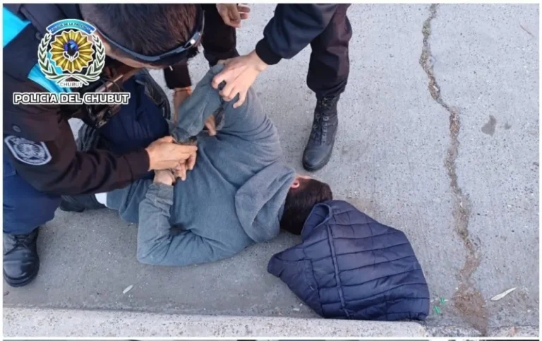 Robaron un televisor y un parlante: un ladrón fue detenido