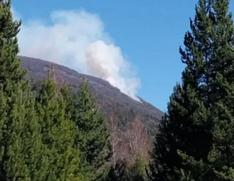Incendio forestal en El Manso