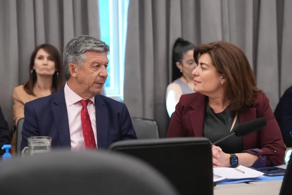 Torres pidió el apoyo de los legisladores nacionales al proyecto de Hidrógeno Verde impulsado por Ana Clara Romero