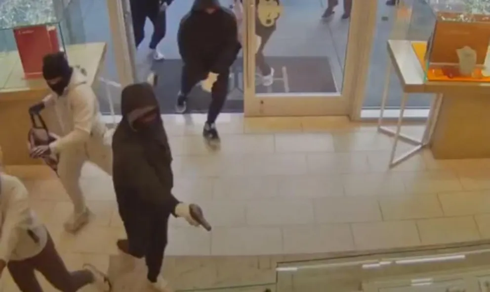 Asalto millonario en California: 20 delincuentes arrasaron con una joyería en San Ramón