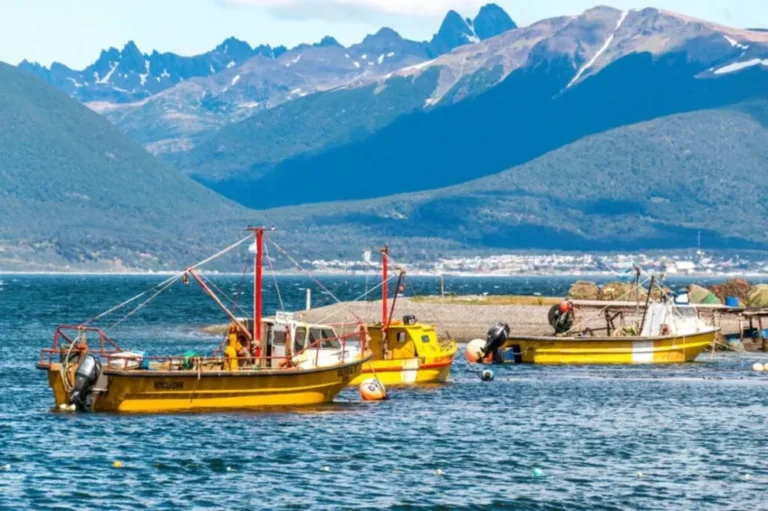 Pescadores artesanales denuncian a empresa privada por ocupar zonas históricas de pesca