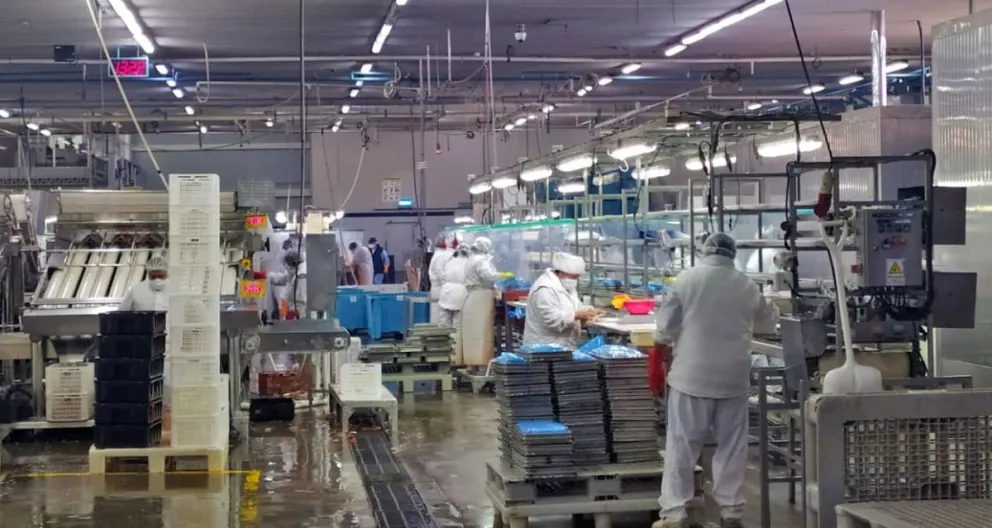 Acuerdo con Provincia: Profand invertirá más de 70 millones de euros y reactivará la ex Alpesca