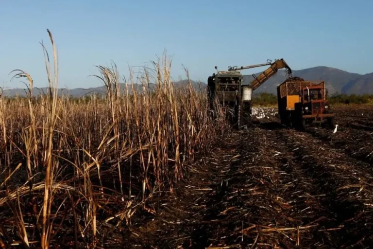 Un productor agropecuario será juzgado por explotación laboral