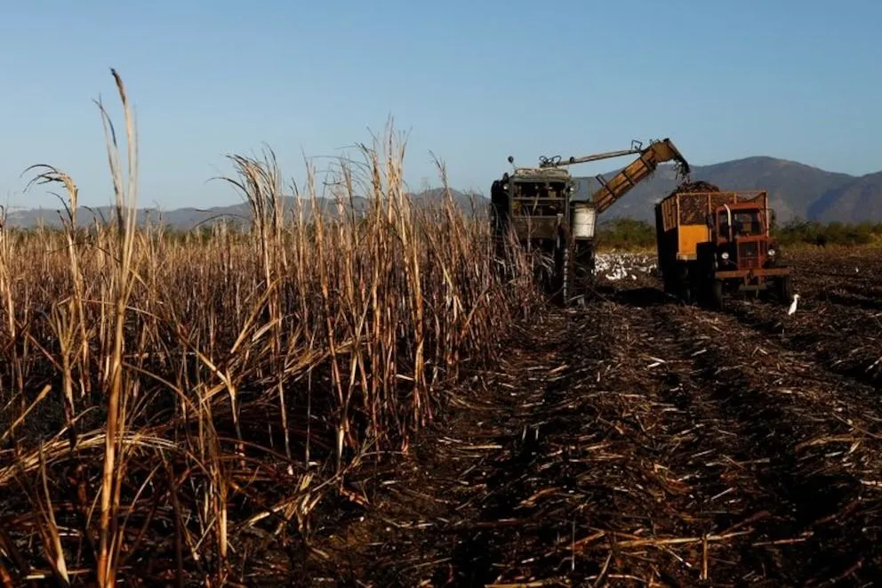 Un productor agropecuario será juzgado por explotación laboral