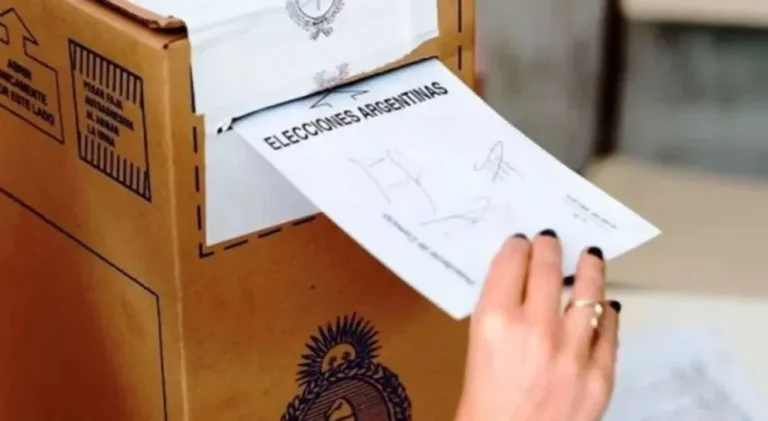 Cómo será la boleta única papel en Chubut