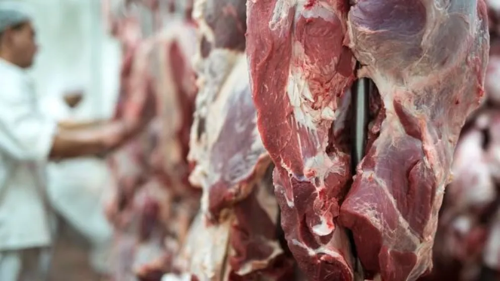 Gobierno oficializó la eliminación de retenciones a la carne y el pollo hasta fin de octubre