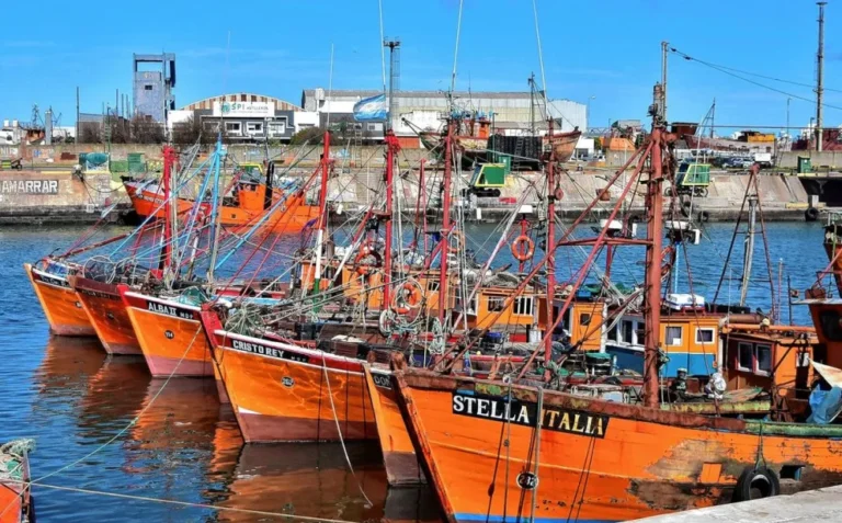 El sector de la pesca pide quita de retenciones a las exportaciones