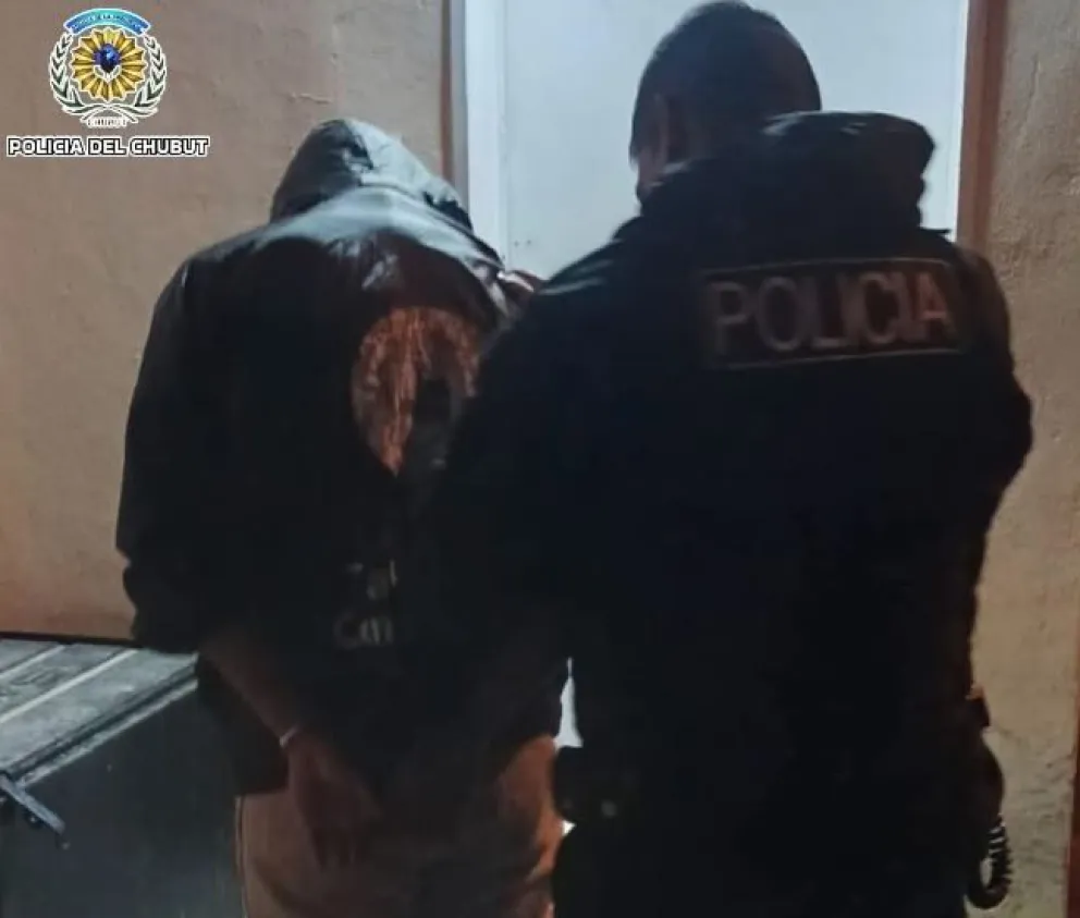 Palazzo: Se metió a un patio y los perros no lo dejaron bajar del paredón