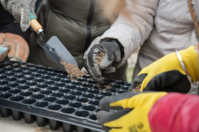 Soberanía alimentaria: Rada Tilly impulsa su propio Centro Agroecológico Municipal