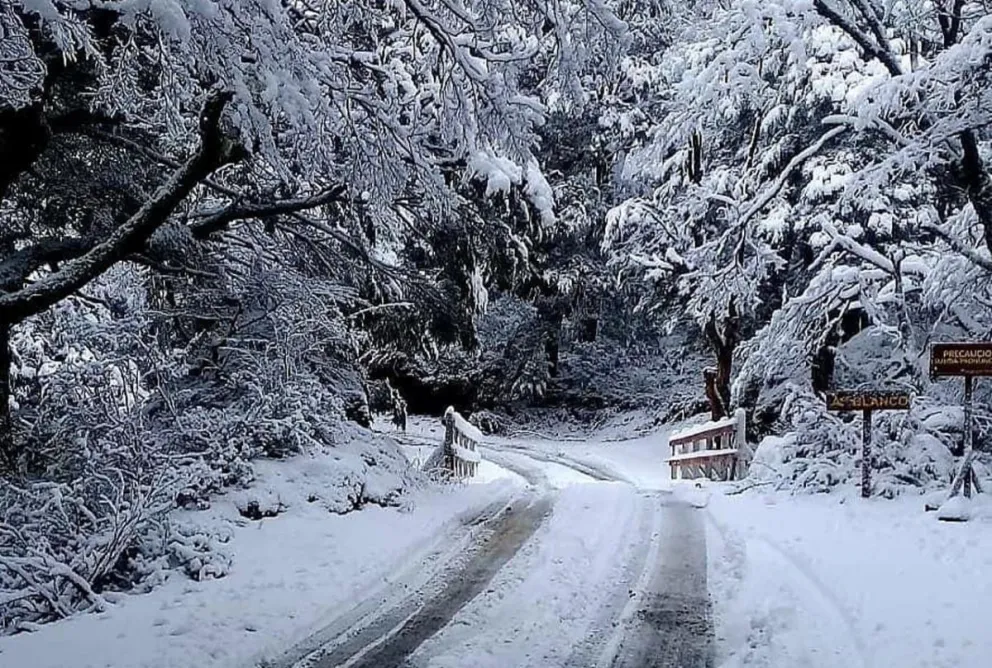 Alerta Amarillo por nevadas y lluvias en el Parque Nacional Nahuel Huapi