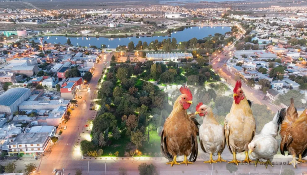 La Municipalidad de Trelew será querellante en la causa "Pollos de Papel"