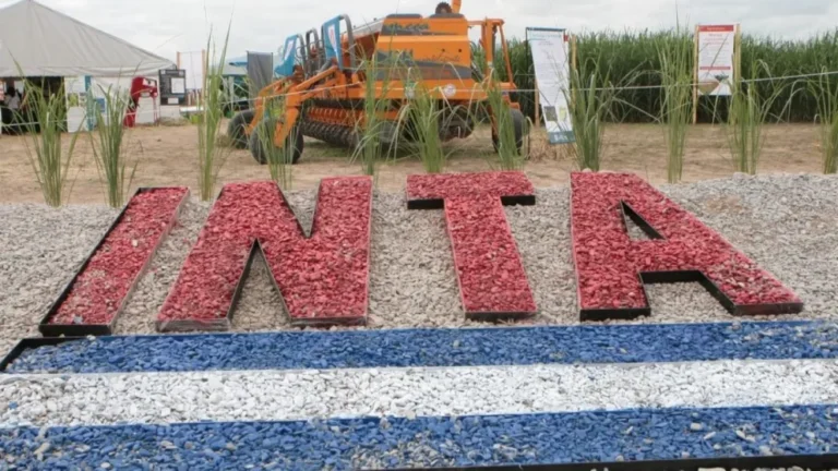 El Gobierno restituyó al INTA y nombró nuevas autoridades en entes estratégicos