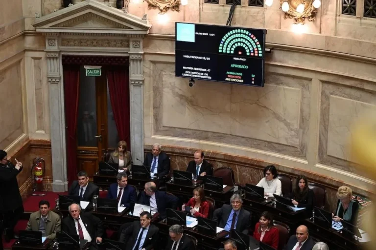 El Senado rechazó el veto de Milei y reactivó la ley de emergencia en discapacidad