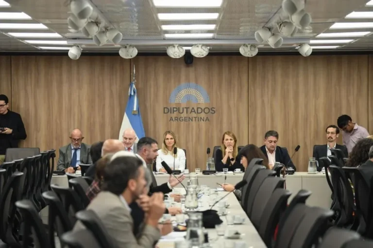 Oposición en Diputados avanza con cambios clave sobre los DNU