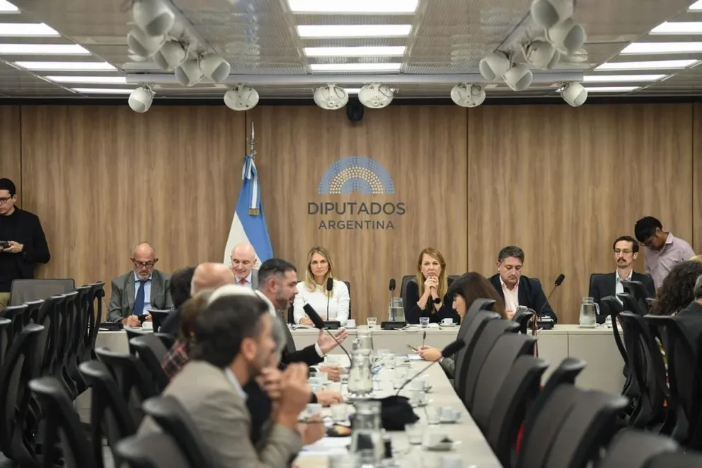 Oposición en Diputados avanza con cambios clave sobre los DNU