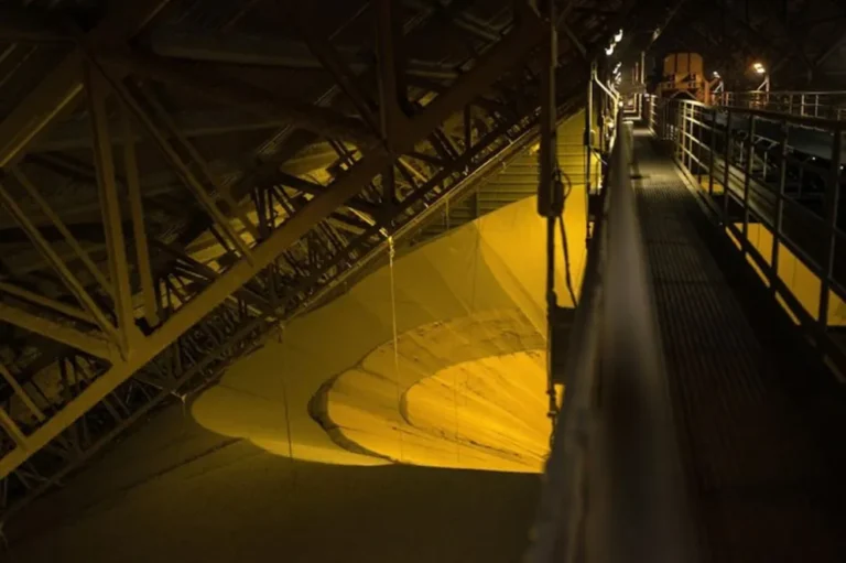 China acelera compras de soja argentina tras la baja de retenciones