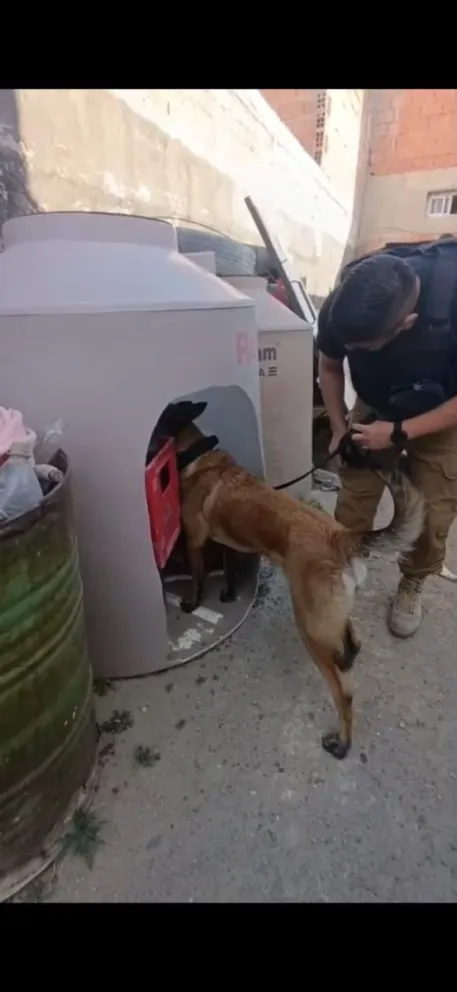 Golpe al narcotráfico en Puerto Madryn: 6 detenidos y más de 7 kilos de droga secuestrados