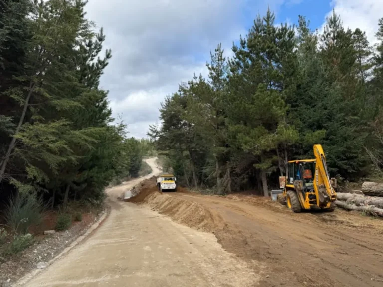 Se realizaron mejoras en el camino a Puerto Patriada