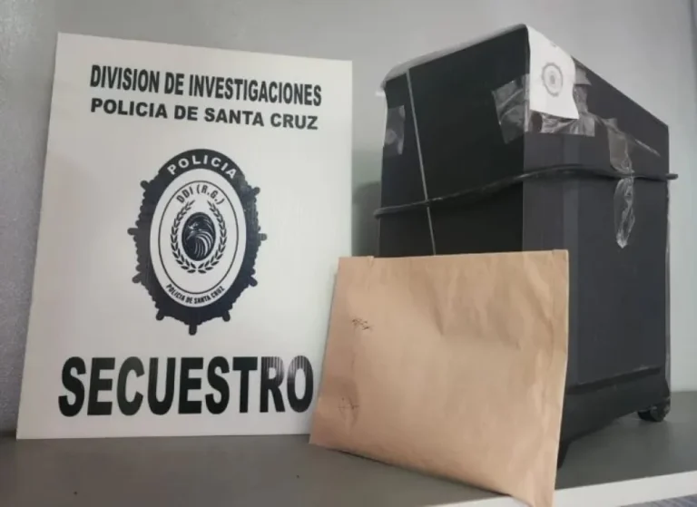 Preocupación en Río Gallegos: en el último mes hubo un allanamiento cada dos días por tenencia de material de abuso infantil