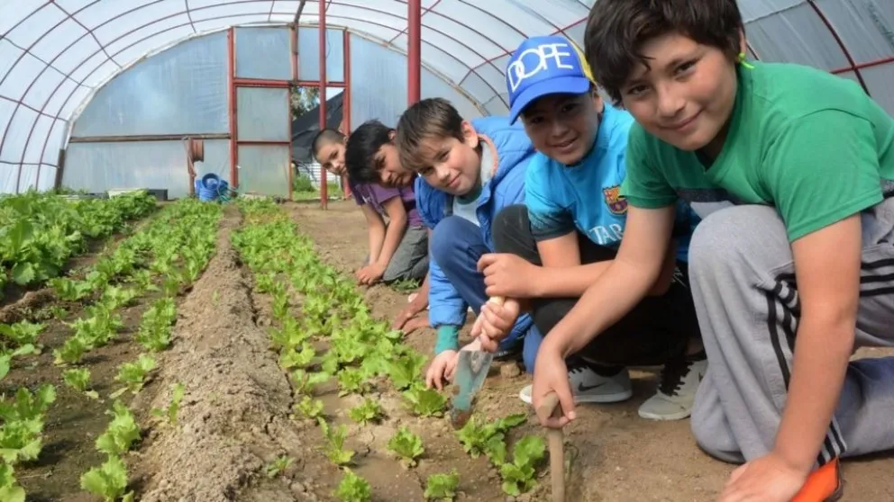Chubut lanza Bachillerato en Energía y Sustentabilidad