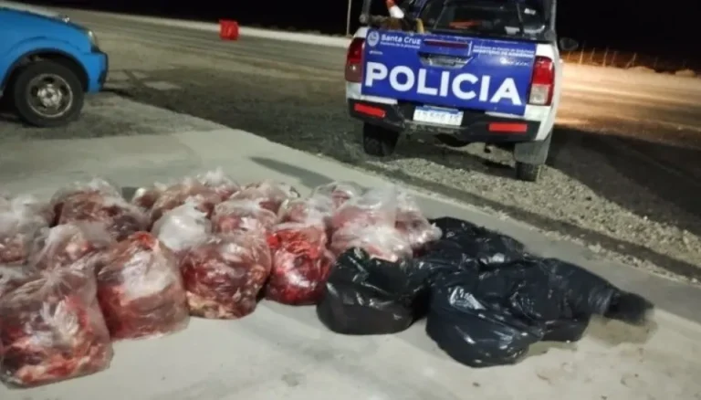 Descomisan gran cantidad de carne de guanaco