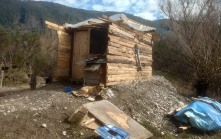 Detuvieron en Lago Puelo a un hombre por tentativa de femicidio y lesiones