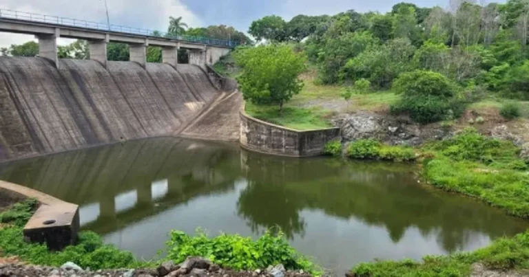 Cuba sufre la peor sequía en 20 años