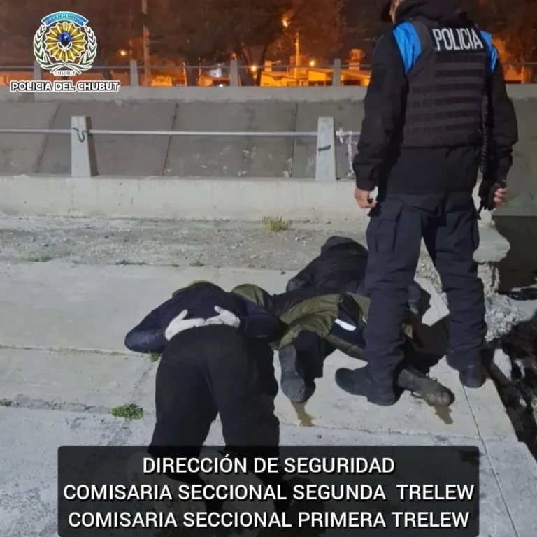 Dos jóvenes detenidos tras un robo y persecución