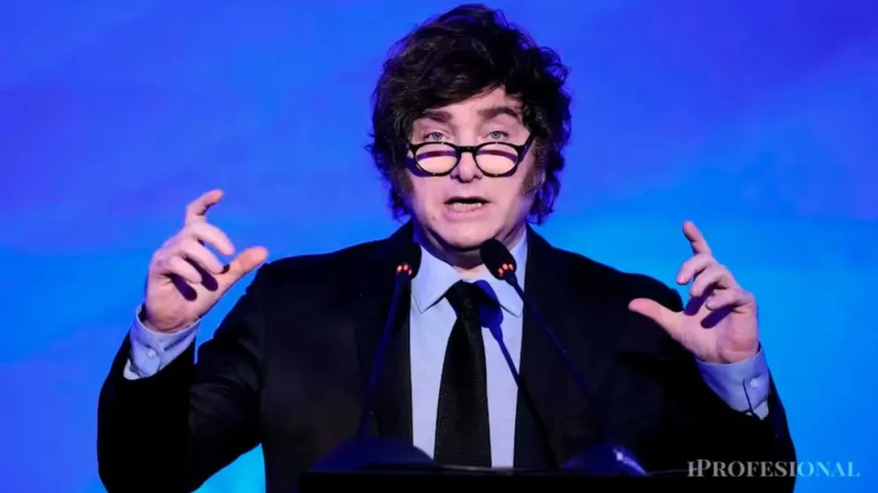 El Gobierno promulgó la Ley de Emergencia en Discapacidad pero suspendió su aplicación