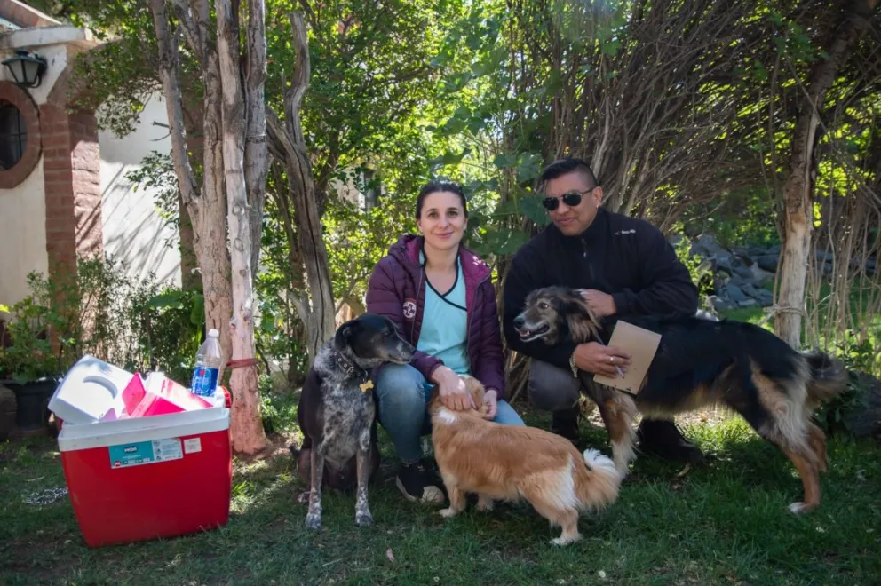 Rada Tilly llevará adelante una jornada especial de vacunación antirrábica gratuita a domicilio