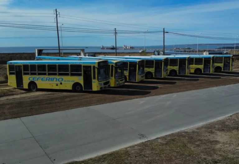 Llegan 10 colectivos nuevos adaptados para personas con discapacidad a Chubut