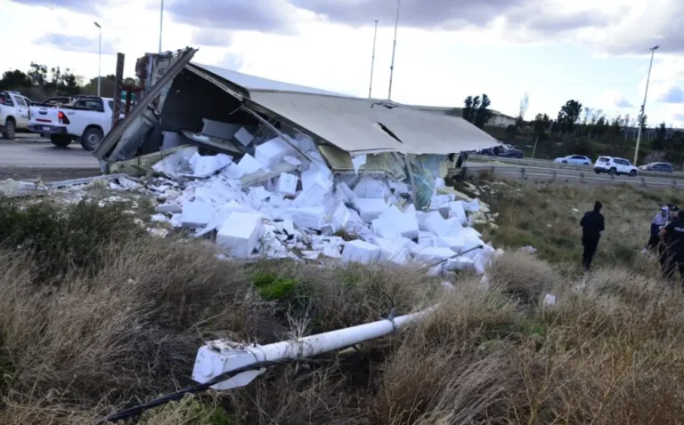 Volcó un camión cargado de pescado y no pudieron llevarse la mercadería