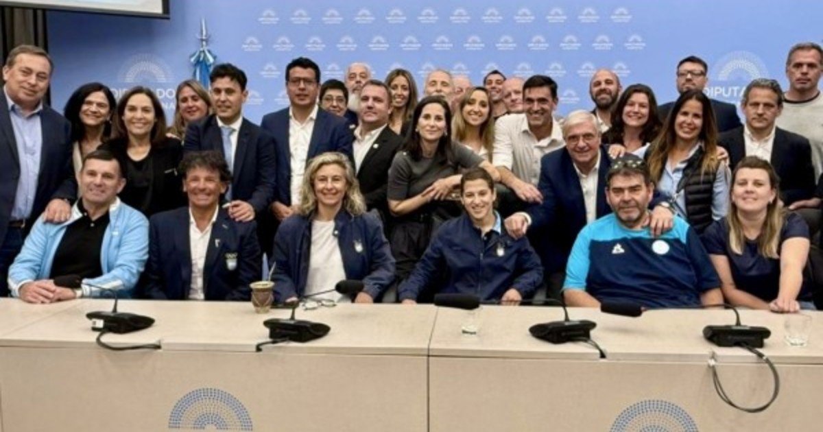 Otro paso clave para revitalizar el apoyo al deporte argentino: hay dictamen en Diputados para establecer la nueva financiación del ENARD
